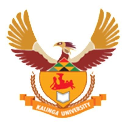Kalinga University Engineering