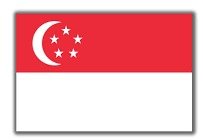 UAE flag